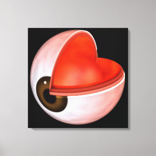 Lienzo Imagen conceptual de la anatomía 8 del ojo humano