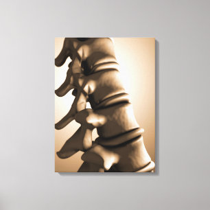 Lienzo Imagen conceptual de la espina dorsal humana 4