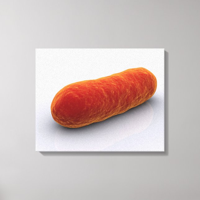 Lienzo Imagen Conceptual De Las Bacterias 4 (Anverso)