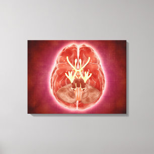 Lienzo Imagen Conceptual De Nervios Craneales En El Cereb