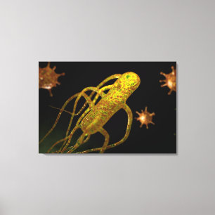 Lienzo Imagen Conceptual De Salmonella Typhi 1