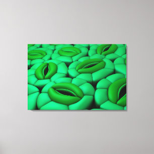 Lienzo Imagen Conceptual De Stomata 1