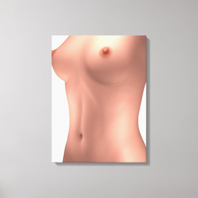Lienzo Imagen Conceptual De Torso Femenino (Anverso)
