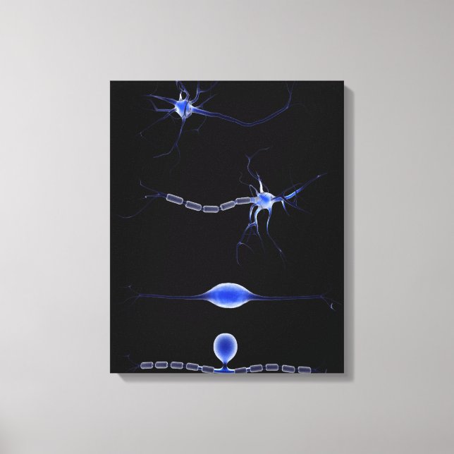 Lienzo Imagen Conceptual De Una Neurona 1 (Anverso)