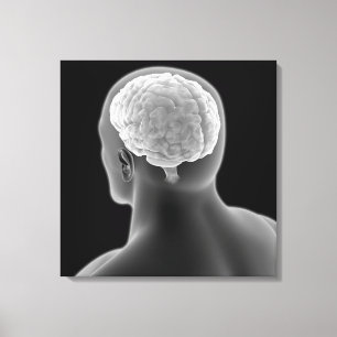 Lienzo Imagen conceptual del cerebro humano 2