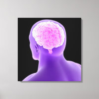 Imagen Conceptual Del Cerebro Humano 9