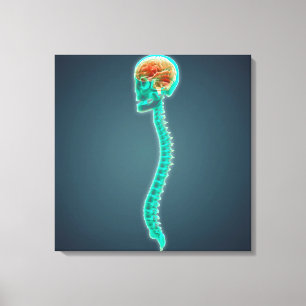 Lienzo Imagen Conceptual Del Cerebro Humano, Calavera Y E