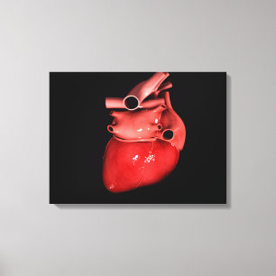 Lienzo Imagen Conceptual Del Corazón Humano 3