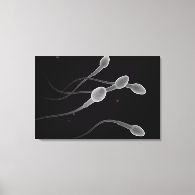Lienzo Imagen Conceptual Del Esperma Masculino (Anverso)