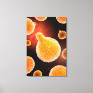 Lienzo Imagen conceptual del Plasmodium que causa la