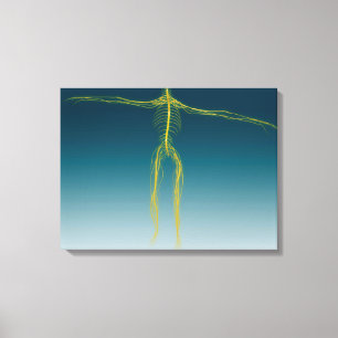 Lienzo Imagen conceptual del sistema nervioso humano 1