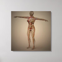 Imagen conceptual del sistema nervioso humano 2