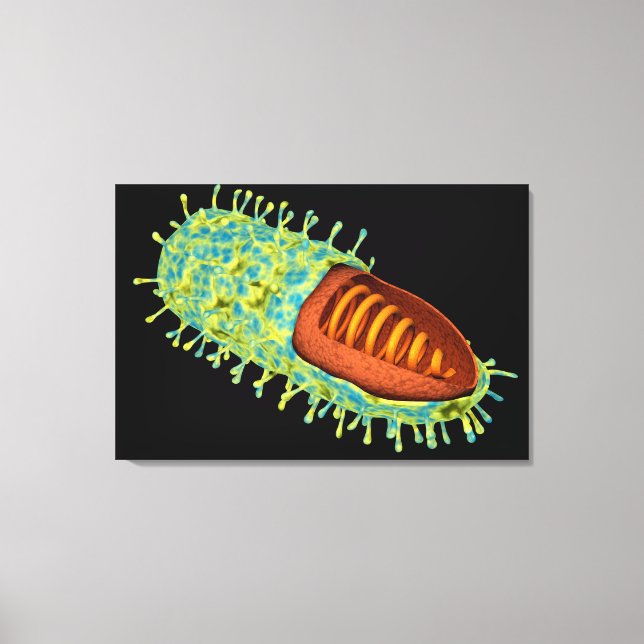Lienzo Imagen Conceptual Del Virus De La Rabia 3 (Anverso)