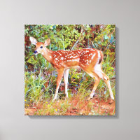 Imagen de canvas de Baby Wild Deer Fawn