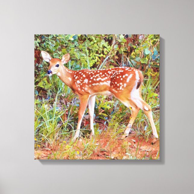 Lienzo Imagen de canvas de Baby Wild Deer Fawn (Anverso)
