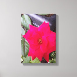 Lienzo Imagen de Canvass Art