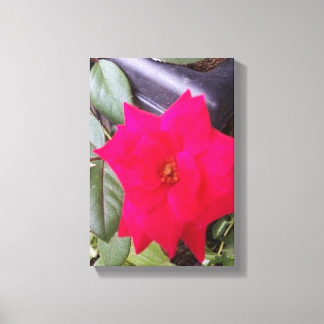 Lienzo Imagen de Canvass Art (Anverso)