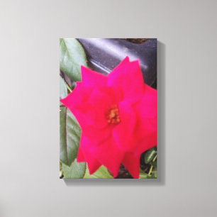 Lienzo Imagen de Canvass Art