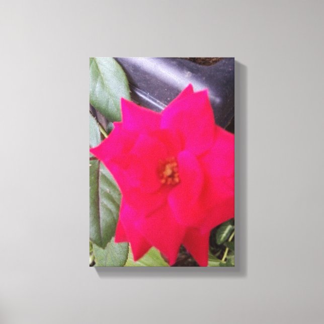 Lienzo Imagen de Canvass Art (Anverso)