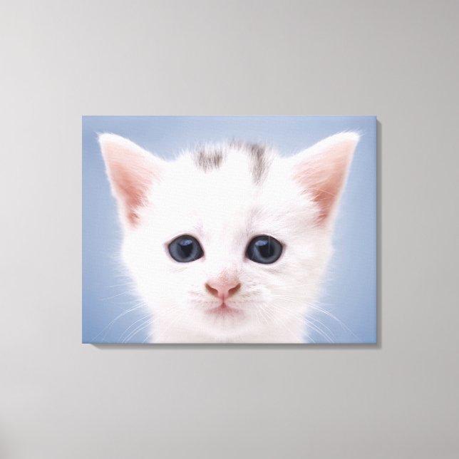 Lienzo Imagen de cierre de cara predominantemente blanca (Anverso)