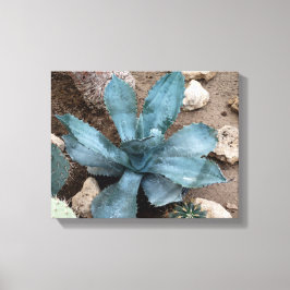 Lienzo Imagen de la planta de aloe vera