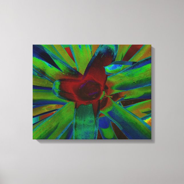 Lienzo Imagen de la planta de Bromeliad Rojo Azul Verde (Anverso)