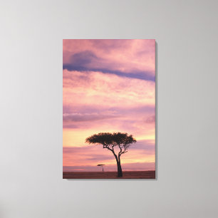 Lienzo Imagen de silueta de árbol de acacia al amanecer