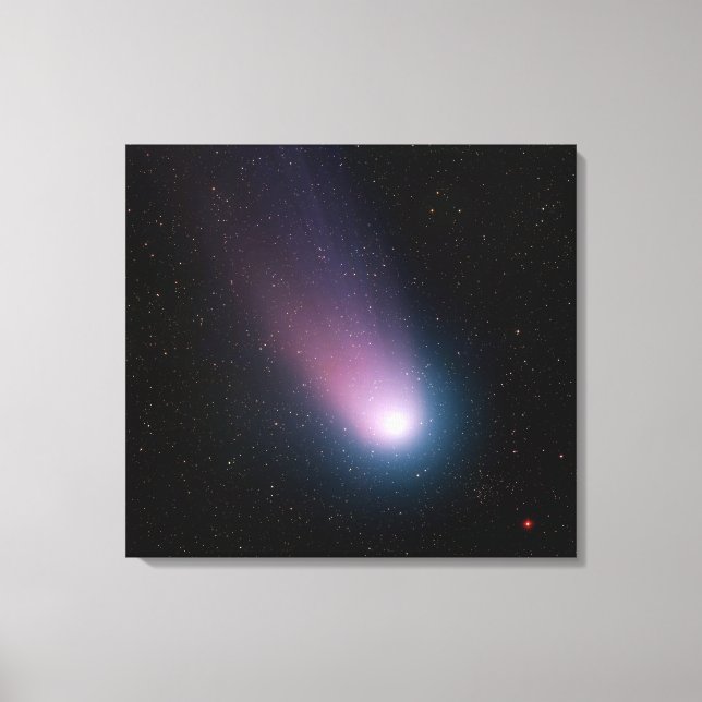 Lienzo Imagen del cometa C/2001 Q4 (NEAT) (Anverso)