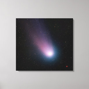 Lienzo Imagen del cometa C/2001 Q4 (NEAT)