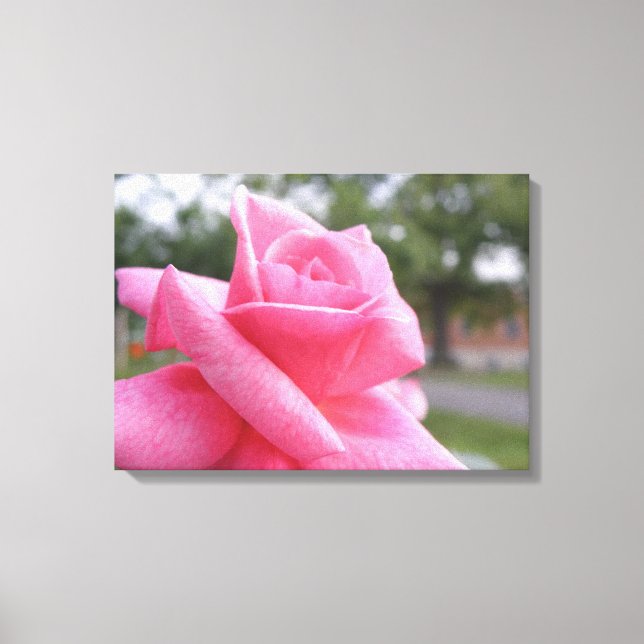 Lienzo imagen rosa rosa rosa rosa (Anverso)