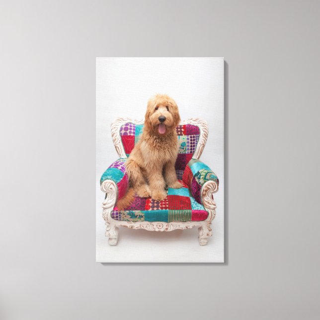 Lienzo Imágenes de Getty | Cute Goldendoodle (Anverso)