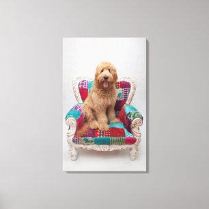 Lienzo Imágenes de Getty el   Goldendoodle lindo