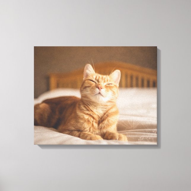 Lienzo Imágenes de Getty | Gato somnoliento (Anverso)
