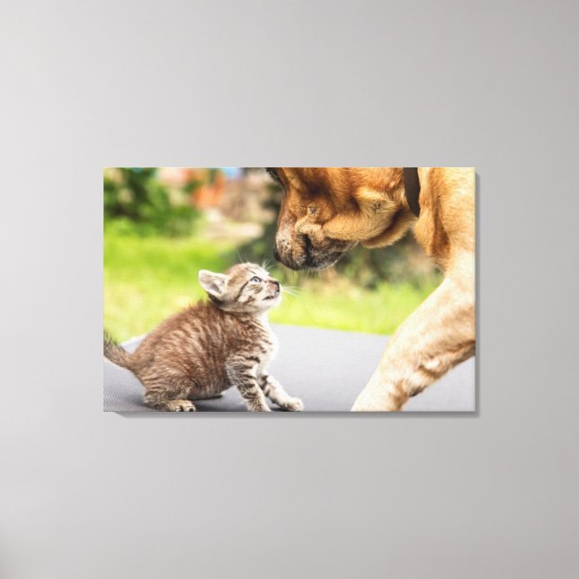 Lienzo Imágenes de Getty | Perro y gato enamorados (Anverso)