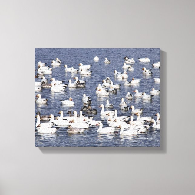 Lienzo Impresionante bandada de granos de nieve en la pla (Anverso)