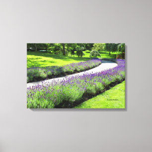Lienzo Impresionante Caminata Jardín con Lino de Lavanda