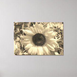 Lienzo Impresionante girasol