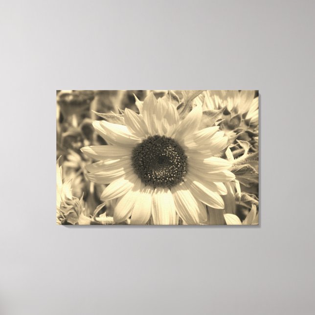 Lienzo Impresionante girasol (Anverso)