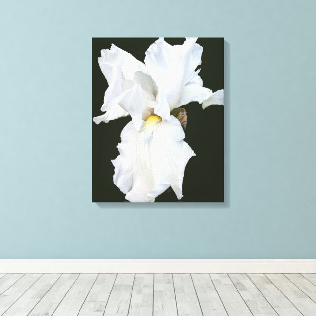 Lienzo impreso con Iris de barba blanca sobre fond (Insitu (piso de madera))