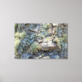 Lienzo Impressão em Tela NATUREZA BRASIL