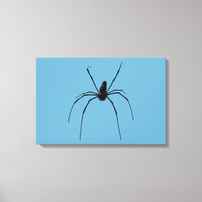 Lienzo Imprimir tela araña (Anverso)