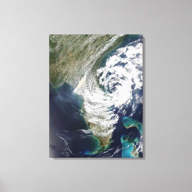 Lienzo Incendios y humo en Georgia y Florida (Anverso)