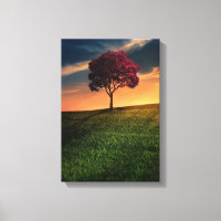 Increíble paisaje con un árbol rojo al atardecer
