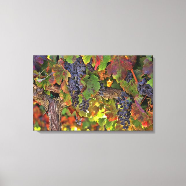 Lienzo Increíble Wine Country Winery Vineyard Wall Art (Anverso)