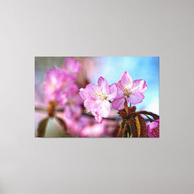 Lienzo Increíbles y Asombrosas Flores de Sakura en Primav (Anverso)
