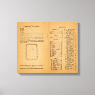 Lienzo Index Rand McNally's Arizona