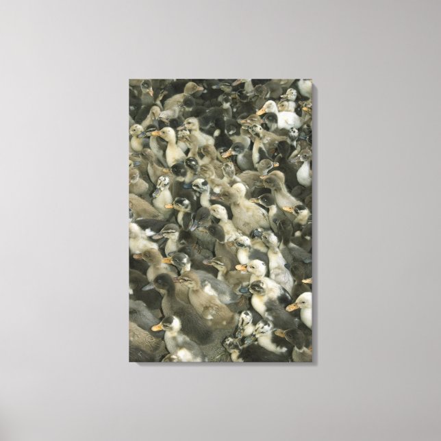 Lienzo India (Anverso)