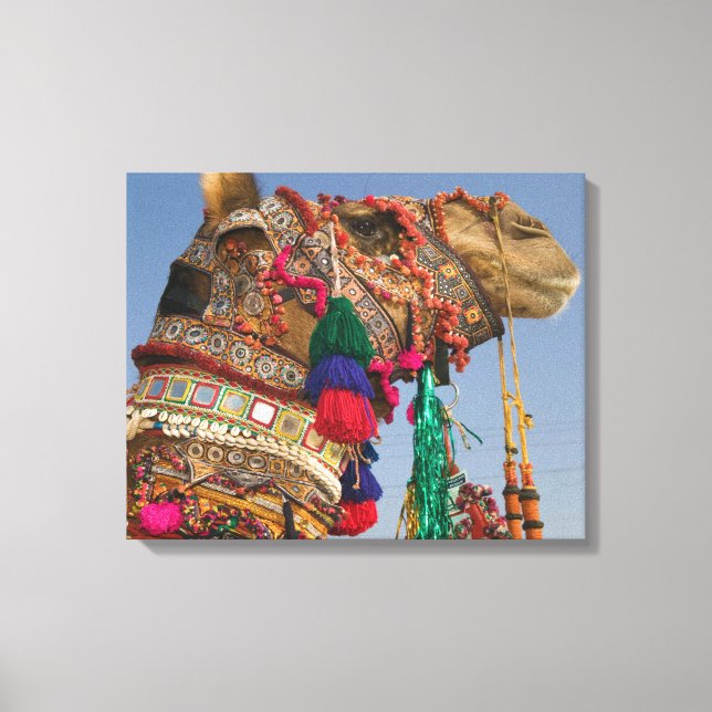 Lienzo INDIA, Rajasthan, Pushkar: FERIA DE CAMELLOS DE PU (Anverso)
