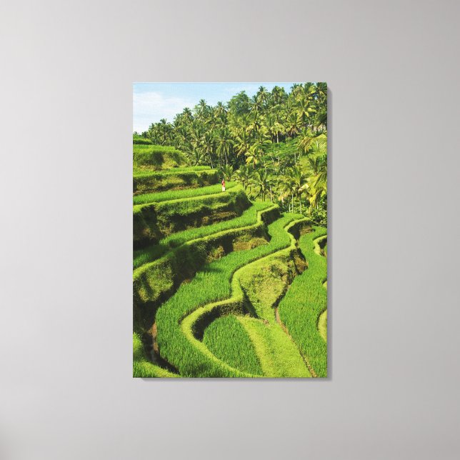 Lienzo Indonesia, Bali | Arrozales (Anverso)