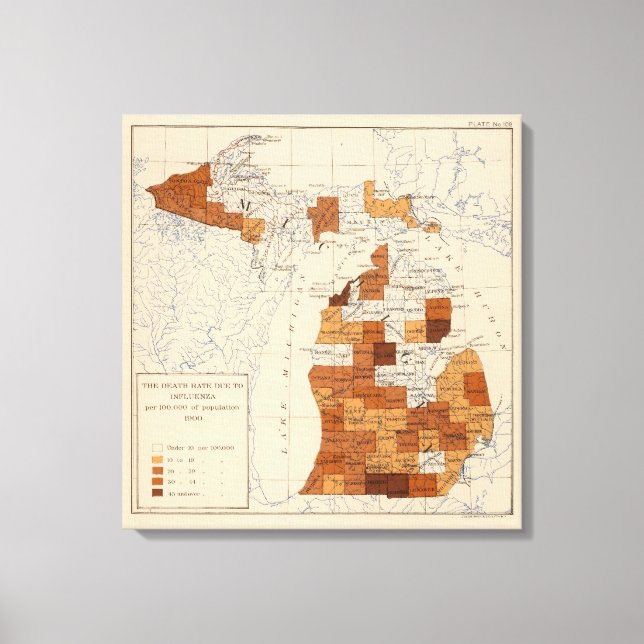 Lienzo Influenza Michigan (Anverso)